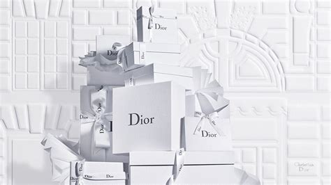 chririan dior|official christian dior website.